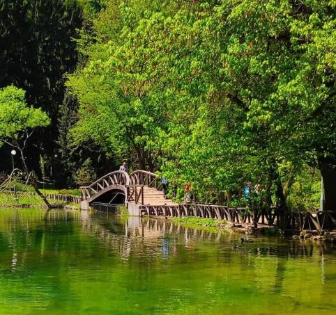 SPRING OF THE BOSNA & TREBEVIĆ MOUNTAIN