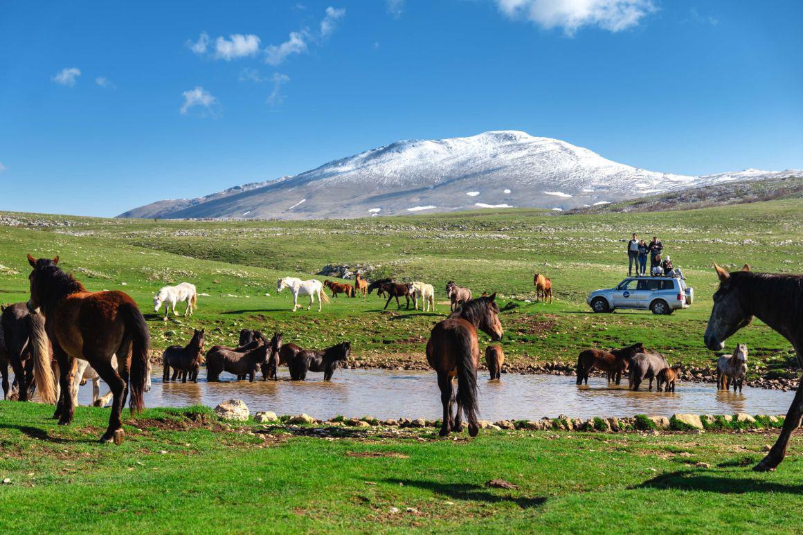 Arrival and a short walk through Livno. Departure for Mount Cincar